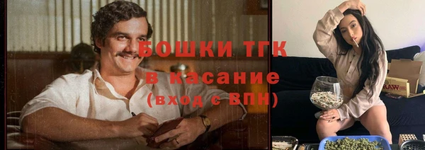 дживик Баксан