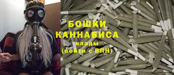 дживик Баксан