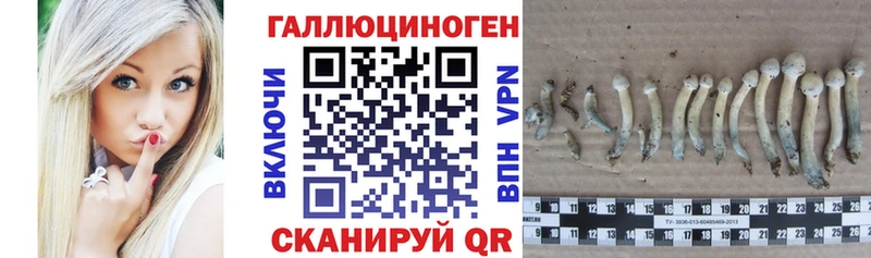 Галлюциногенные грибы ЛСД  Богданович 